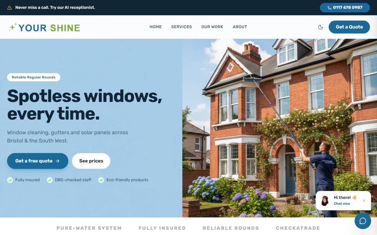 Window Cleaner website preview